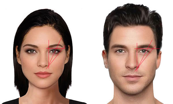 Famale and Male Brow Comparison