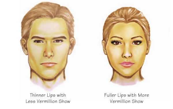 Lip Augmentation Facial Feminization Surgery Explained 
